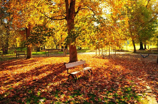 가을 공원 스톡 사진
