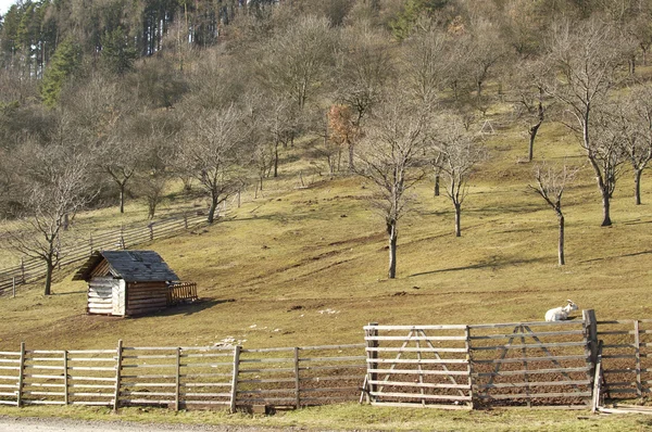 Farm landscape — Stock Photo, Image