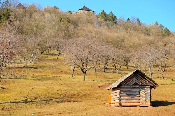 Pequeña granja al pie del castillo medieval — Foto de Stock