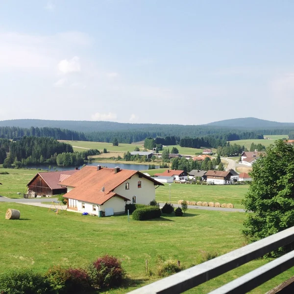 Haidmühle, municipality in the district of Freyung-Grafenau in Bavaria in Germany. — Zdjęcie stockowe