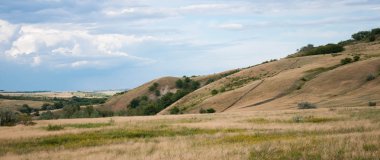 Hills, Polyana, düz