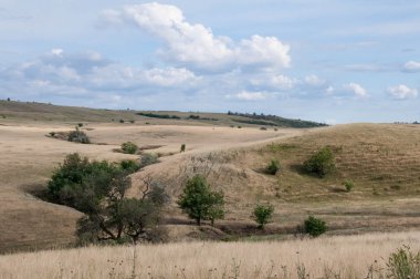 Hills, Polyana, düz