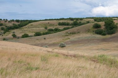 Hills, Polyana, düz