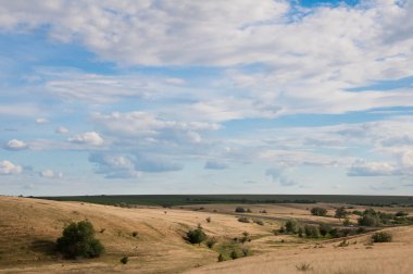 Hills, Polyana, düz
