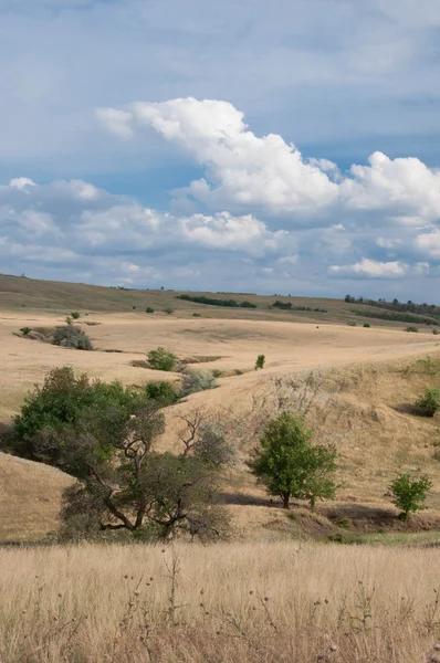 Hills, Polyana, düz