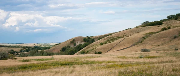 Hills, Polyana, düz