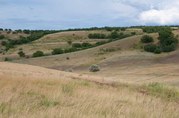 Hills, Polyana, düz