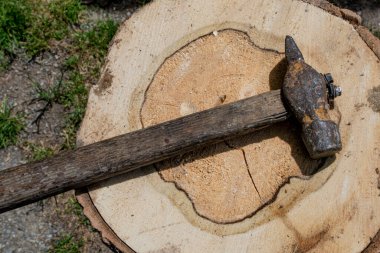 Eski bir metal paslı çekiç, eski bir ağacın kütüğünde yatıyor..