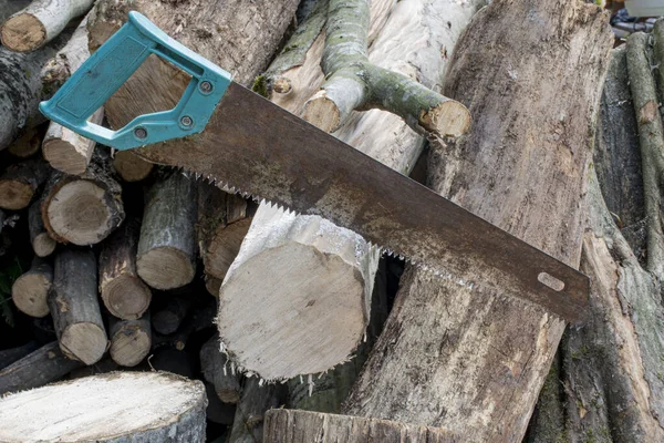 Paslı Bir Testeresi Ağaç Kütüğünü Keser Yakacak Odunların Ağaç Kesimlerinin — Stok fotoğraf