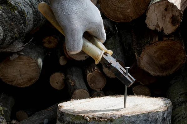 Old Rusty Pliers Pull New Iron Nail Out Stump Garden — Stock Photo, Image