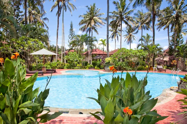 Clear blue water in swimming pool with palms, Lombok — Stock Photo, Image