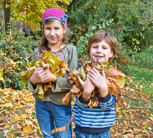 Дети в осеннем лесу. Играть с упавшими листьями — стоковое фото