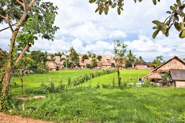 Sade-Traditional Lombok old village — Stock Photo, Image