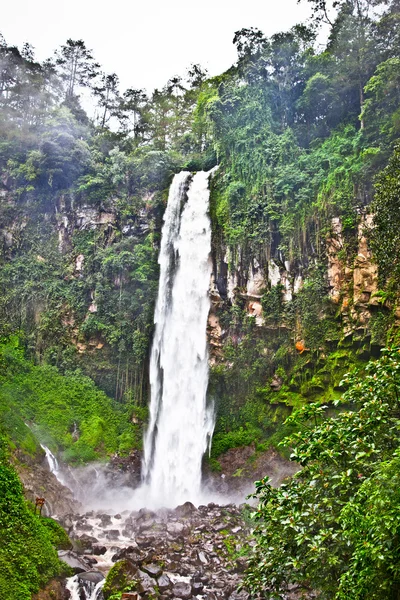 Cascada en Java central. Países Bajos . — Foto de Stock