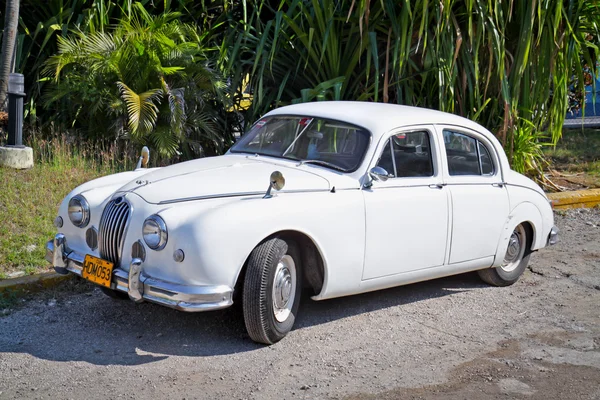 Clásico Jaguar blanco en La Habana. Cuba — Foto de Stock