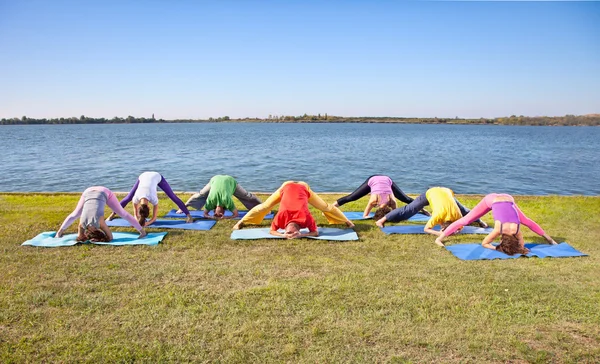 Baumpaar, Mann und Frau praktizieren Yoga-Asana am See. — Stockfoto