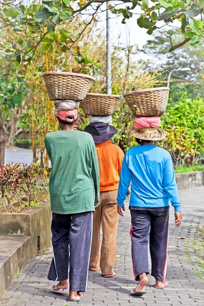 Balanceo de canasta. Mujer balinesa camina con cesta en la cabeza . — Foto de Stock