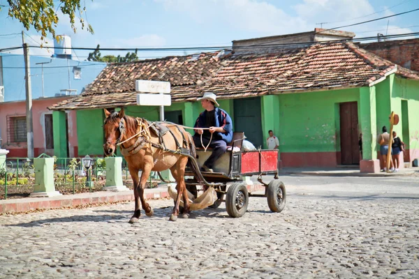 Agricultor con sombrero conduciendo carro rústico con un caballo en Trini Fotos de stock libres de derechos