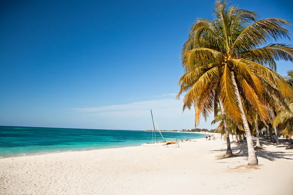 Karib-szigetek paradicsoma - strand lenyűgöző a türkizkék víz — Stock Fotó