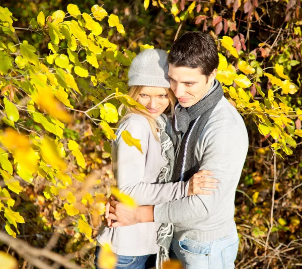 Pareja feliz bajo las hojas en el parque —  Fotos de Stock