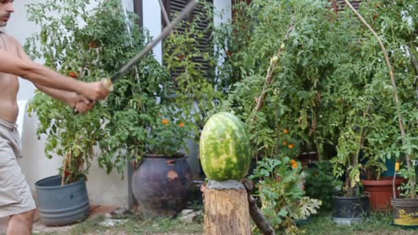 Katana Wassermelone — Stockvideo