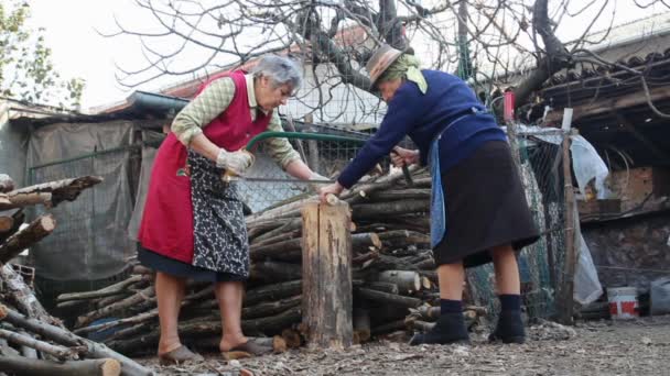 Two elder women cutting wood with handsaw — Stock Video