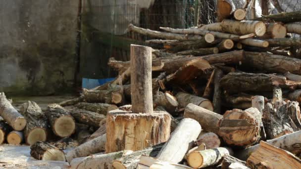 Joven hombre está cortando madera — Vídeo de stock