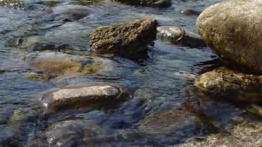 Ticino Nehri