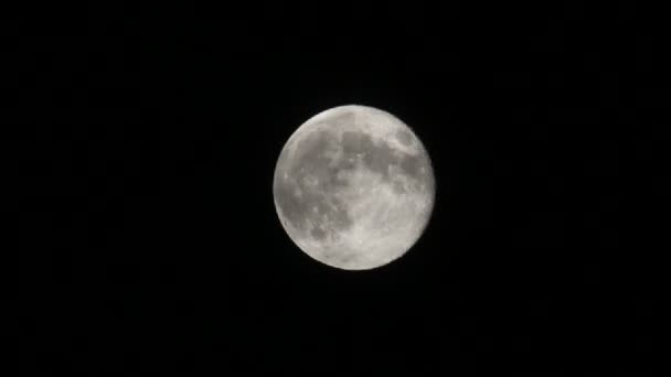 Luna llena — Vídeos de Stock