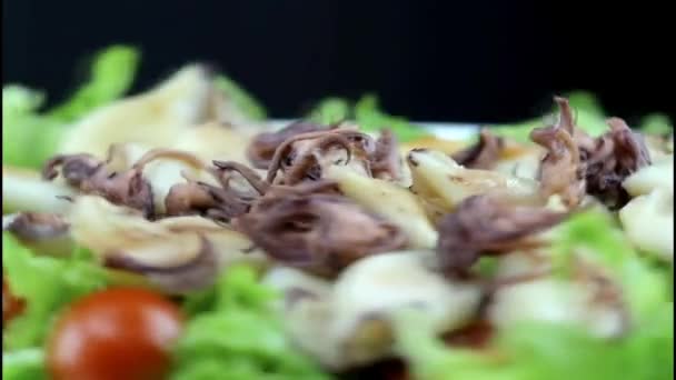 Octopus sallad — Stockvideo