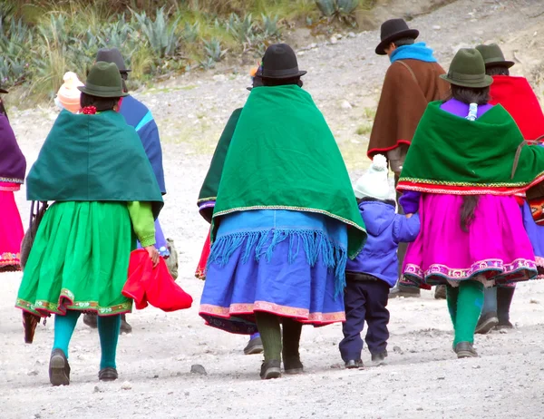 Di chimborazo — Foto Stock