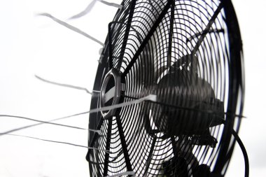 Tablo fan