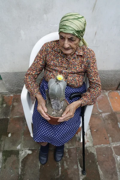 Старшая женщина Кактус — стоковое фото