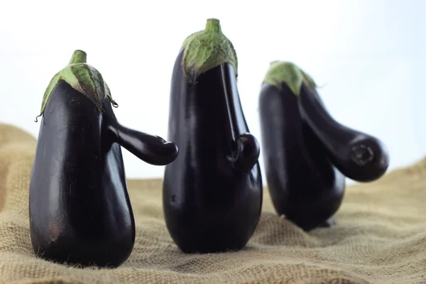 Aubergine trio — Stockfoto