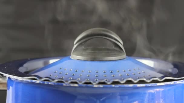 Kochender Topf mit Wasser vor schwarzem Hintergrund — Stockvideo