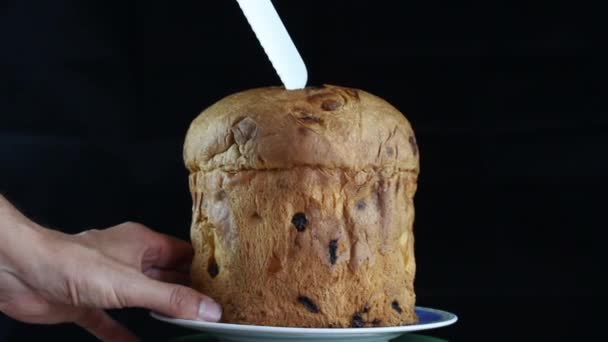 Panettone — Stock Video