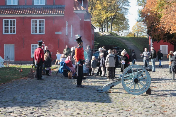 Dánská historická vojenská přehlídka — Stock fotografie