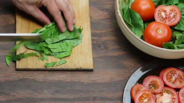 Ensalada verde — Vídeo de stock