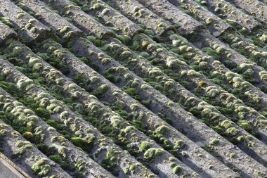 Asbestos cement panels