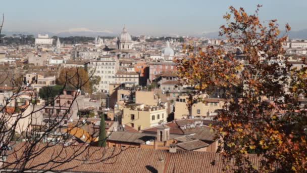 Roma panoramica con monumento e diverse cupole — Video Stock