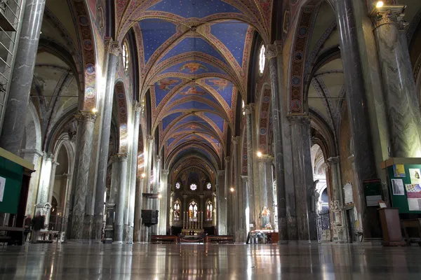 Saint mary boven minerva interieur — Stockfoto