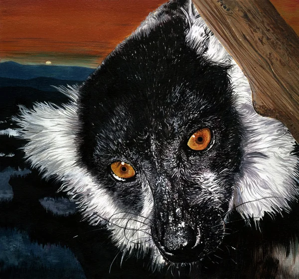 Lemur ilustracja — Zdjęcie stockowe