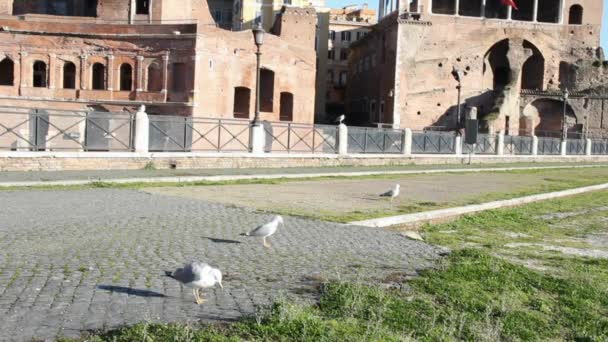 Ruinas romanas en Roma — Vídeo de stock