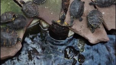 Atocha tren istasyonu