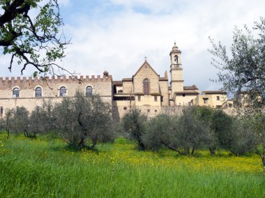 Charterhouse Toskana, İtalya