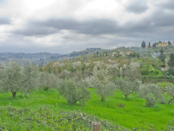 Florence country side at spring time — Stock Photo, Image