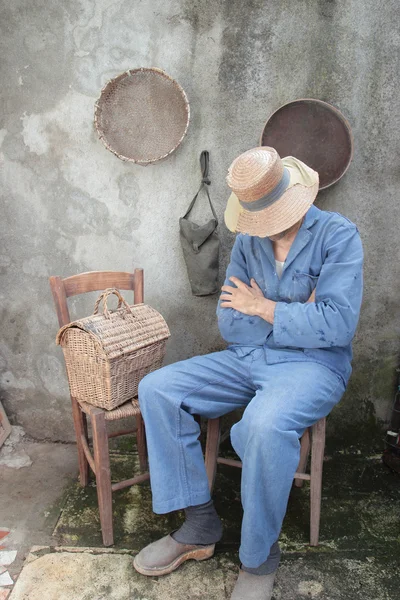 Boer slapen — Stockfoto