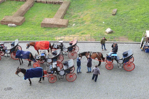 At arabası — Stok fotoğraf