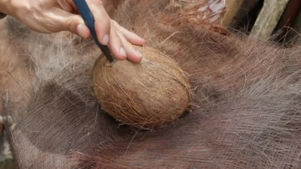 Чоловік відкриває кокос — стокове відео