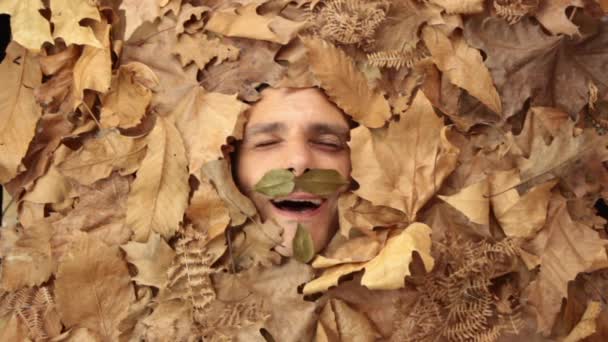 Il volto dell'uomo tra le foglie d'autunno Video Stock Royalty Free